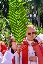 Domingo de Ramos da Paixão do Senhor - Foto 4540