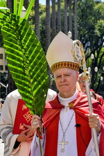 Domingo de Ramos da Paixão do Senhor - Foto 4548