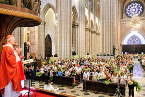 b45cc93c-3246-41ce-86e4-794a65bbd5cb