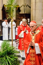 Domingo de Ramos da Paixão do Senhor - Foto 4550