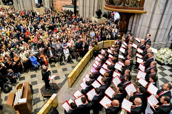Cappella Musicale Pontificia - Foto 5228
