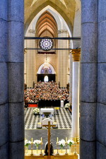 Cappella Musicale Pontificia - Foto 5229