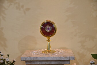 Ereção Canônica da Paróquia São João Paulo II - Foto 5747