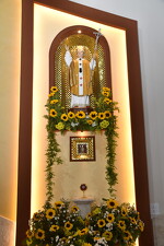 Ereção Canônica da Paróquia São João Paulo II - Foto 5748