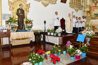 Festa de Santo Antônio de Sant'Anna Galvão - Foto 7304
