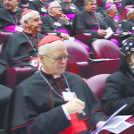 28102012 dom odilo sinodo dos bispos_foto Cantonuevo.eu03.jpeg